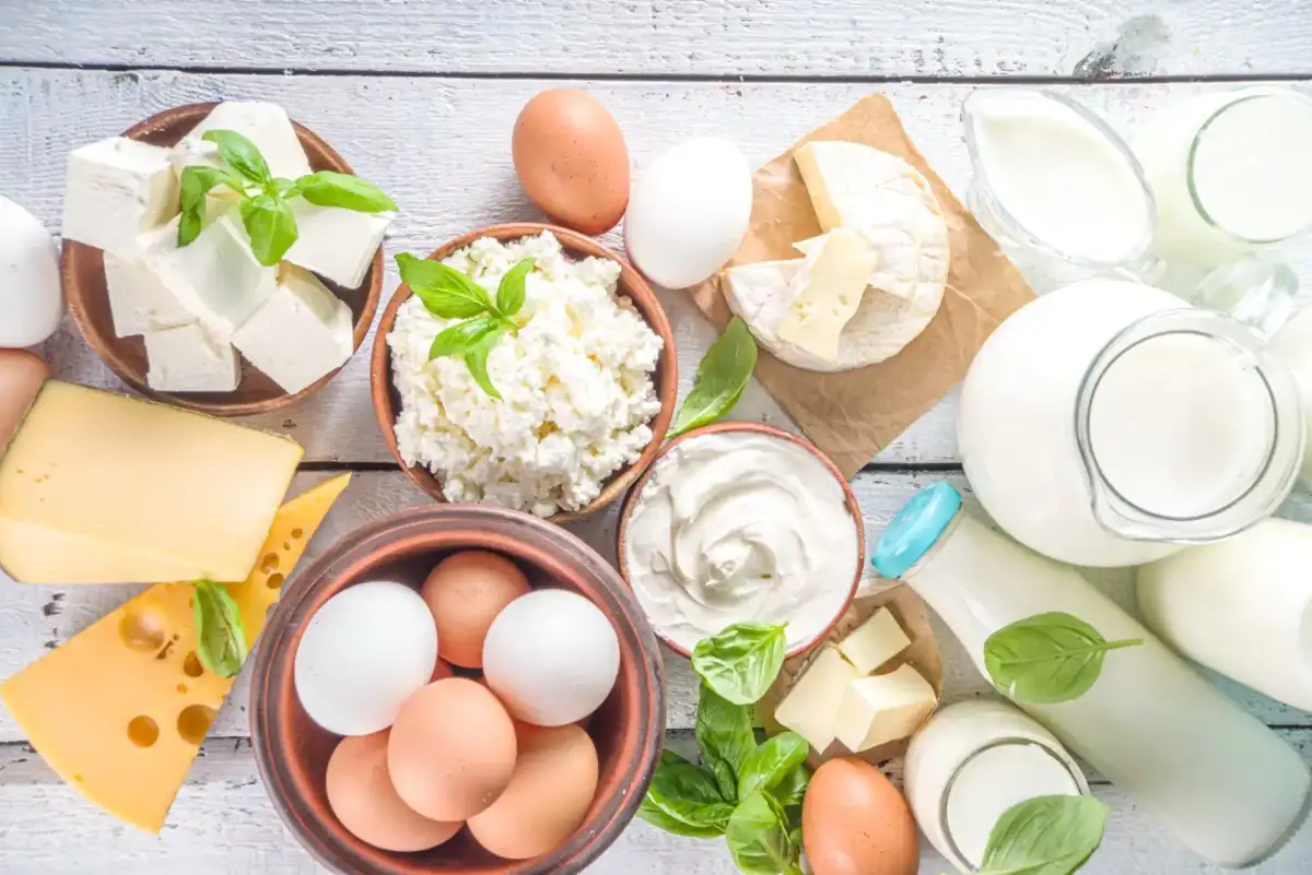 Frische Milchprodukte und Feinkost im Sitar Markt